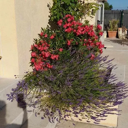 Magnifique Piscine Et Parking Privé *